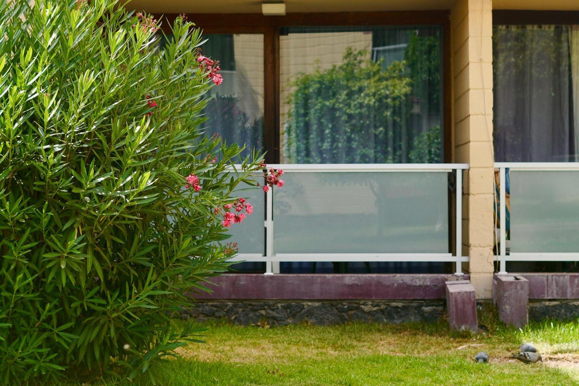 Apartamento El Gato Costa Del Silencio Buitenkant foto